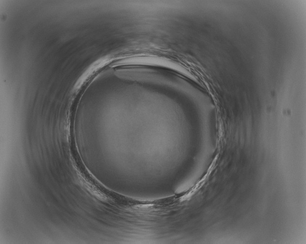 X0000085260054200703091334