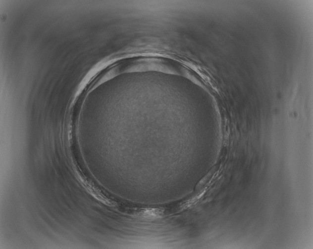 X0000085260056200703091334