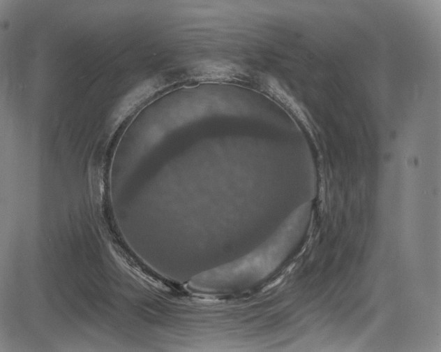 X0000085260059200703091334