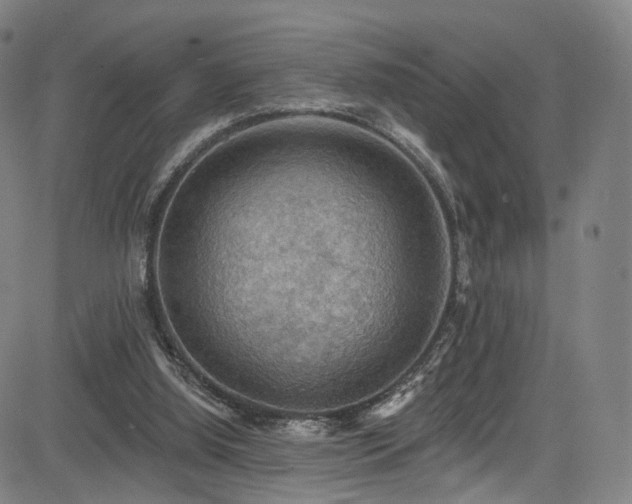 X0000085260060200703091334