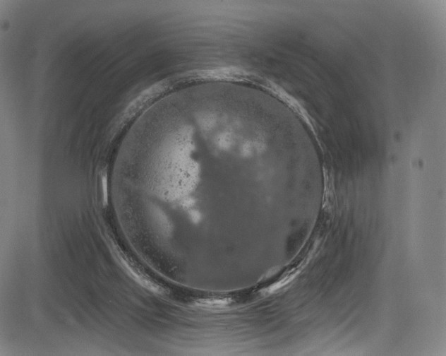 X0000085260061200703091334