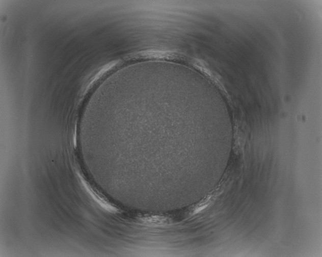 X0000085260062200703091334