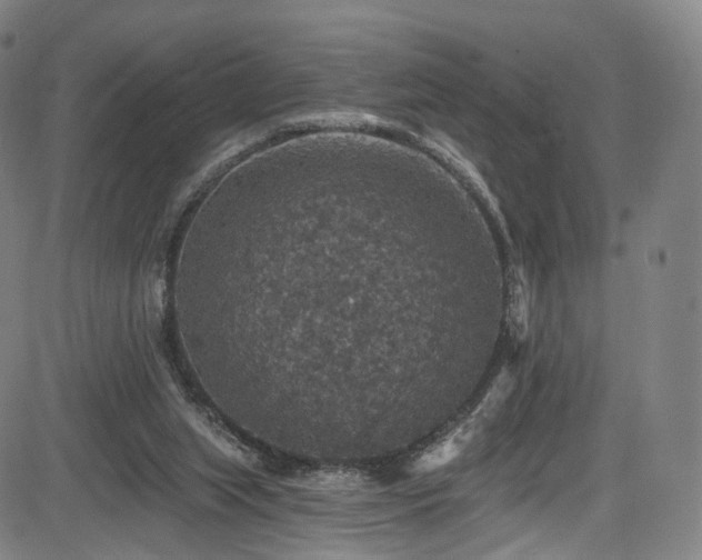 X0000085260063200703091334