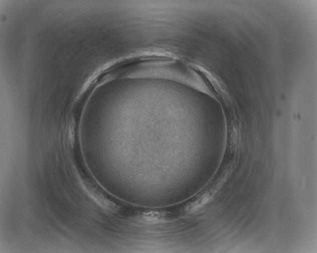 X0000085260064200703091334