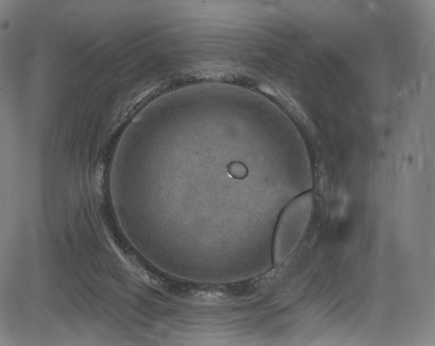 X0000085260066200703091334