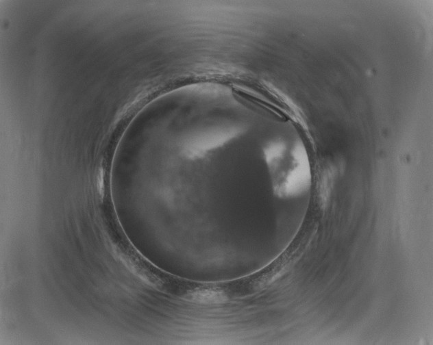 X0000085260067200703091334