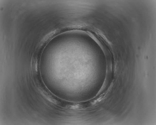 X0000085260068200703091334