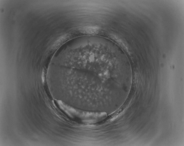 X0000085260069200703091334