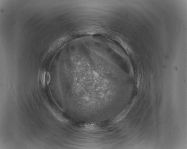 X0000085260070200703091334