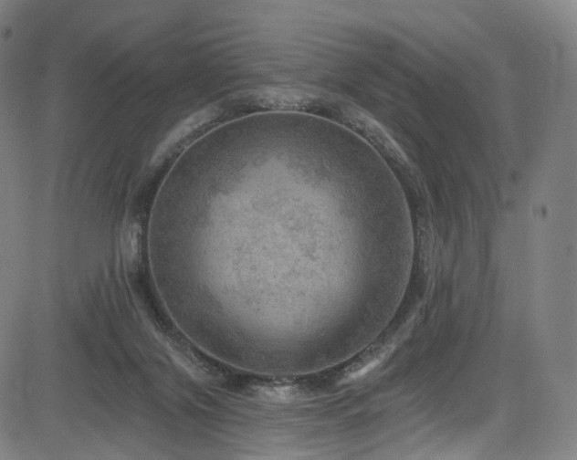 X0000085260071200703091334