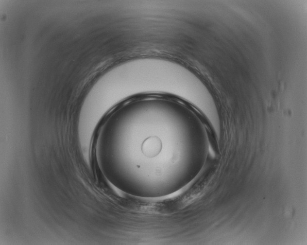 X0000085260072200703091334