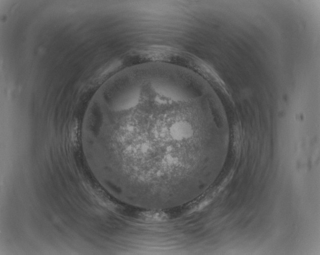 X0000085260073200703091334