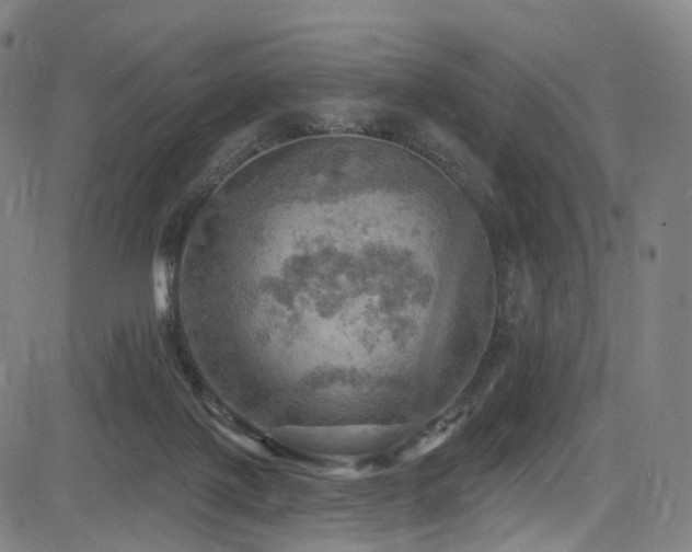 X0000085260075200703091334