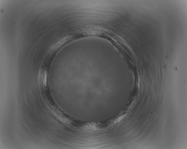 X0000085260076200703091334