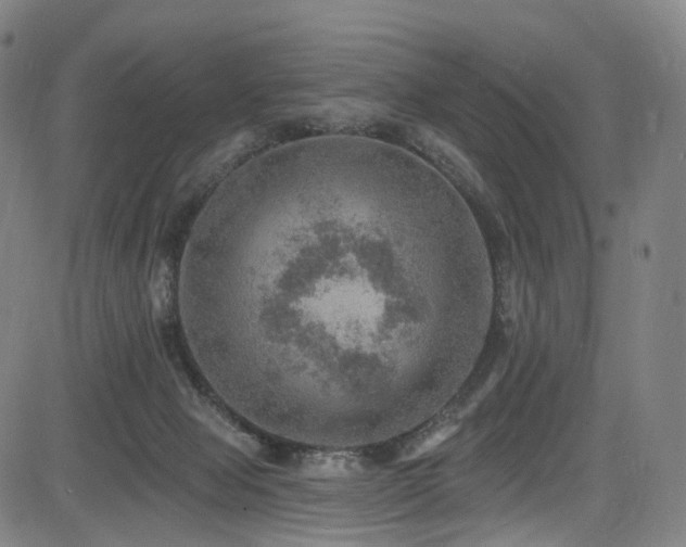 X0000085260077200703091334