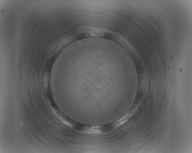 X0000085260078200703091334