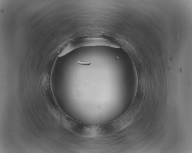 X0000085260079200703091334