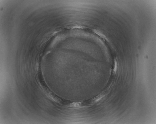 X0000085260080200703091334