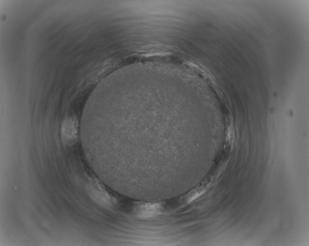 X0000085260081200703091334