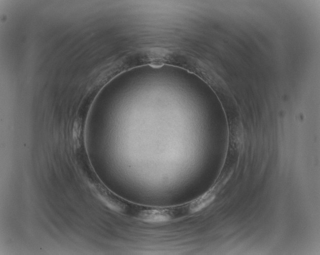 X0000085260082200703091334