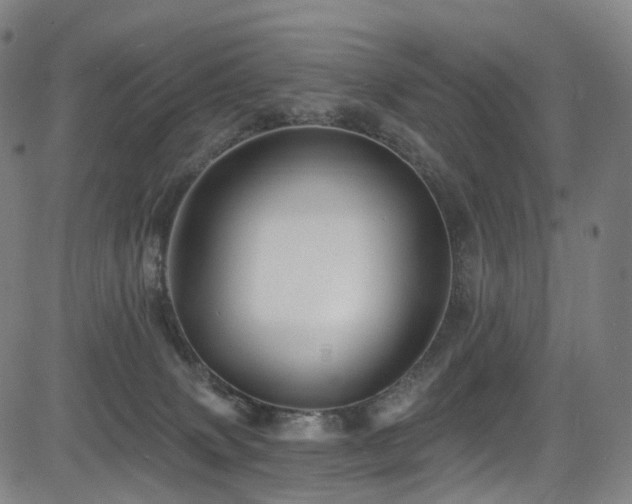 X0000085260083200703091334