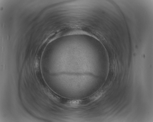 X0000085260084200703091334