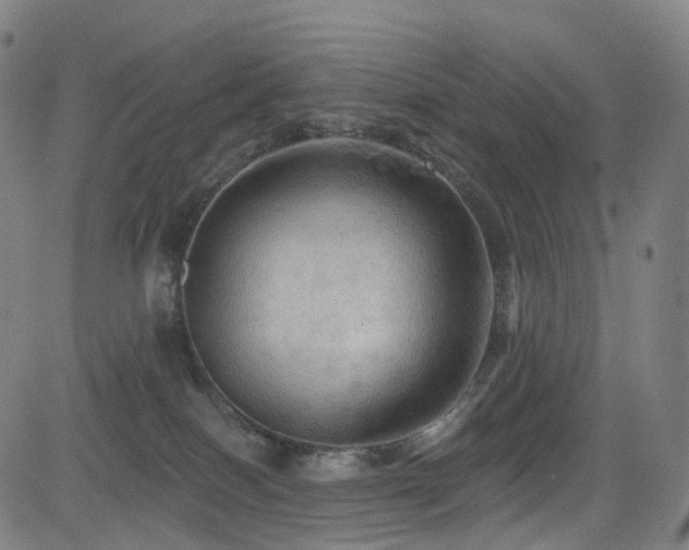 X0000085260086200703091334