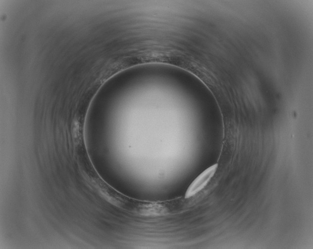 X0000085260087200703091334