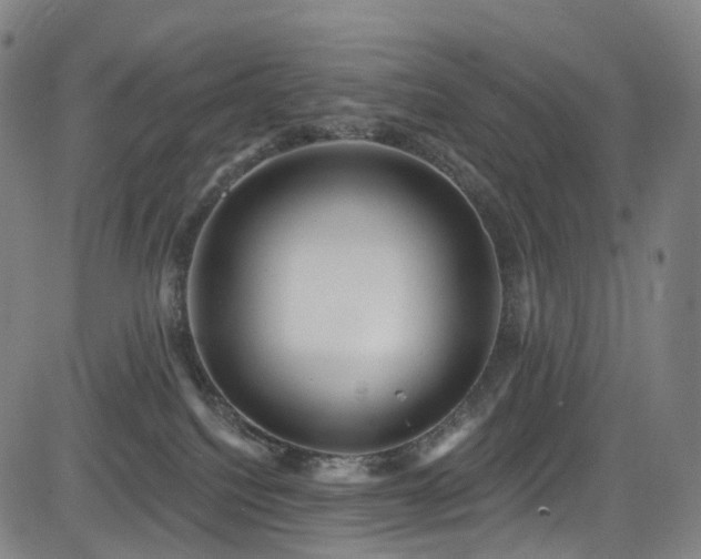 X0000085260088200703091335