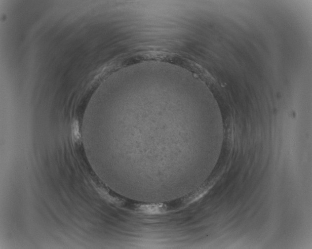 X0000085260089200703091335