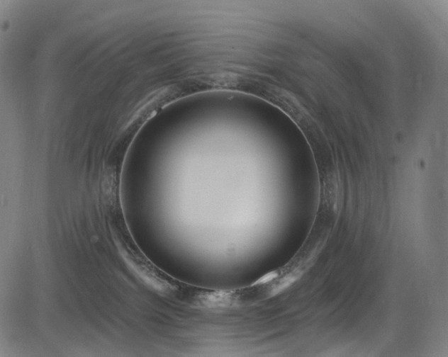 X0000085260092200703091335