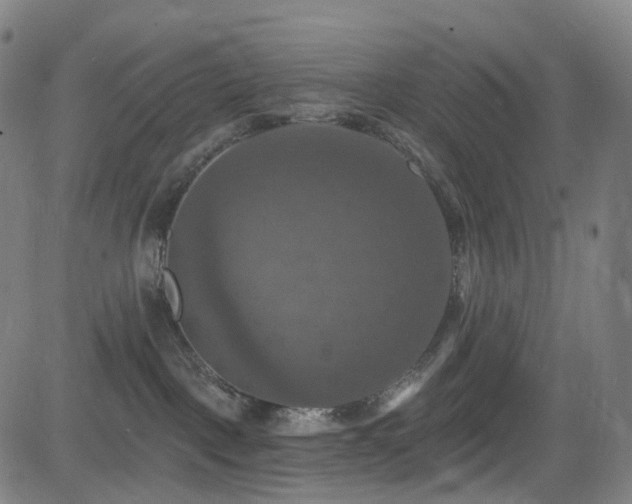 X0000085260093200703091335