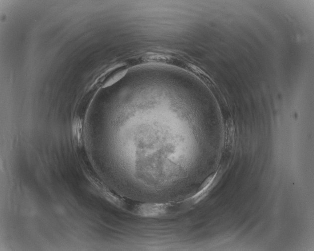 X0000085260094200703091335