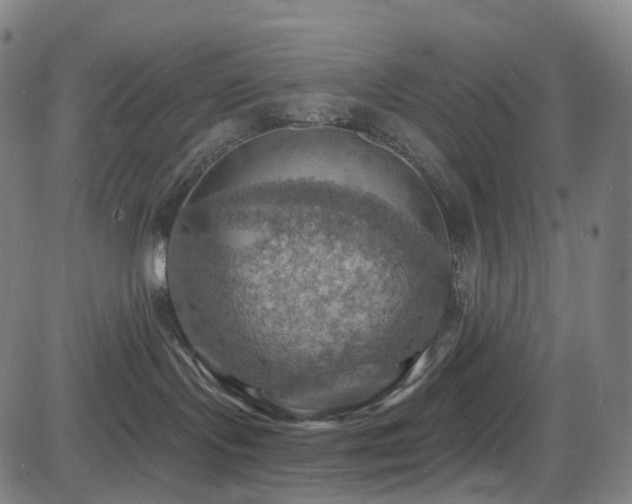 X0000085260095200703091335