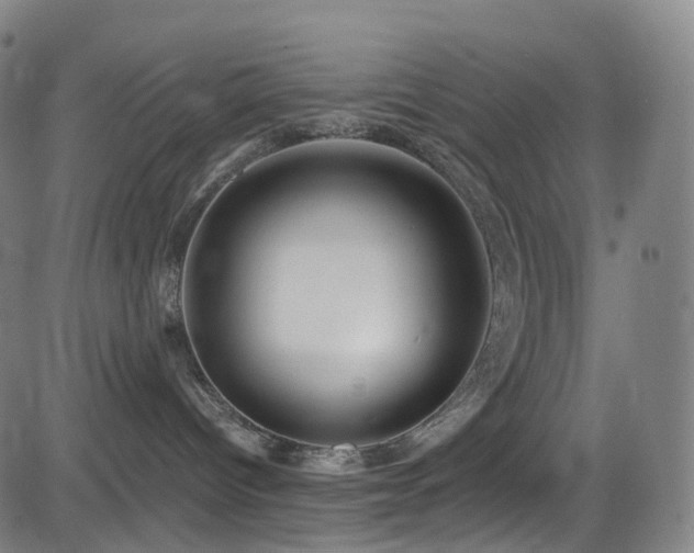 X0000085260096200703091335