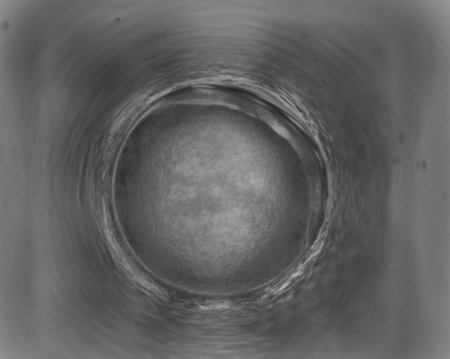 X0000085260097200703091334