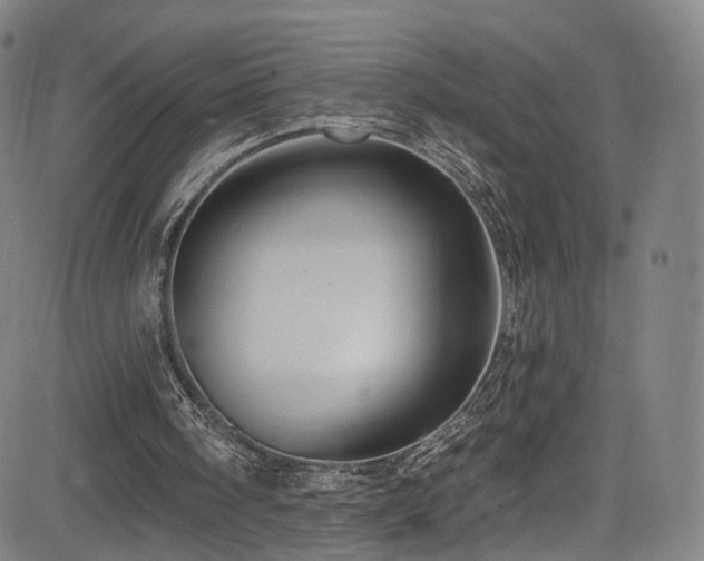 X0000085260098200703091334