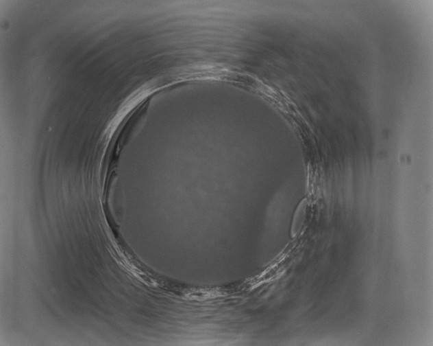 X0000085260099200703091334