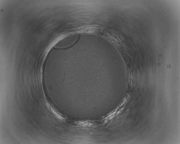 X0000085260100200703091334