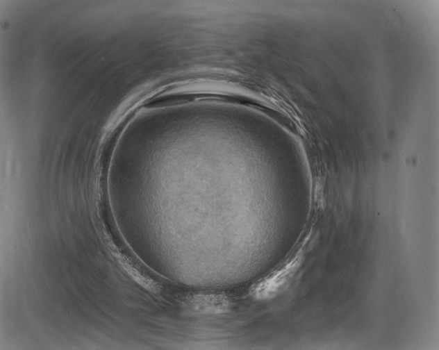 X0000085260101200703091334