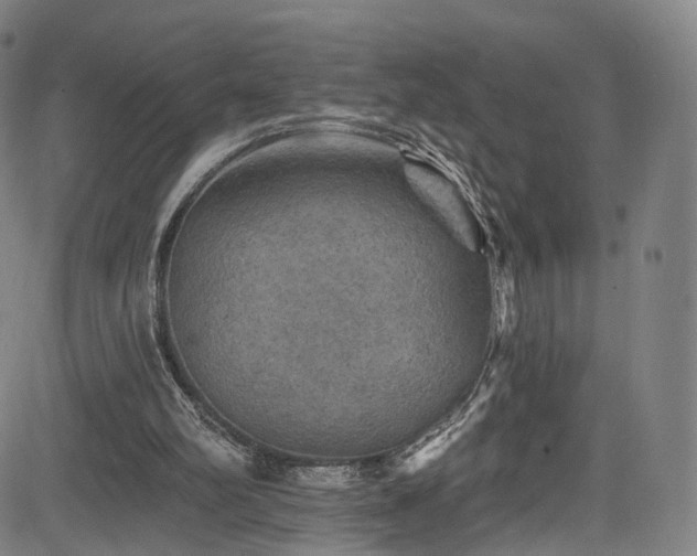 X0000085260102200703091334