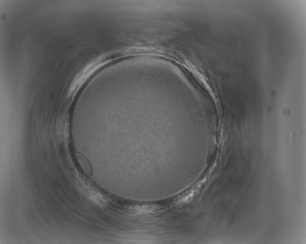 X0000085260103200703091334