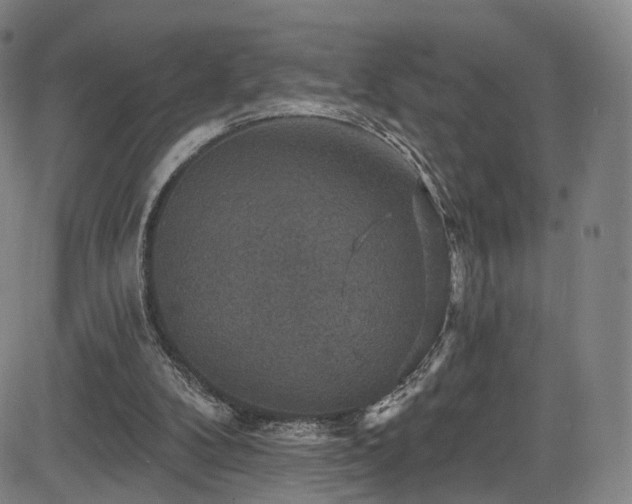 X0000085260104200703091334