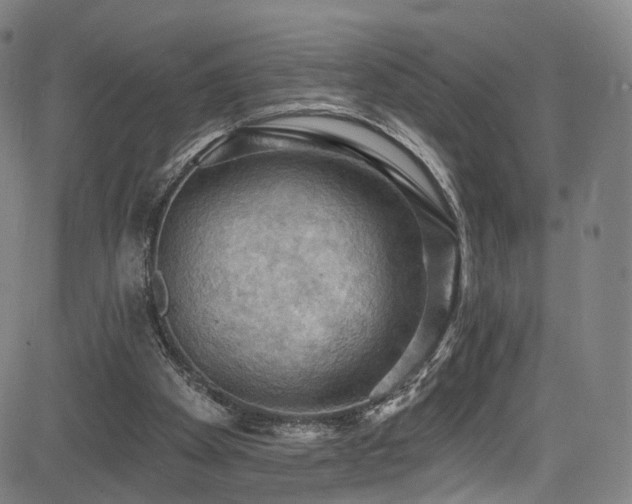 X0000085260105200703091334