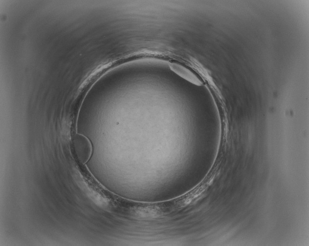 X0000085260106200703091334