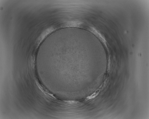 X0000085260107200703091334