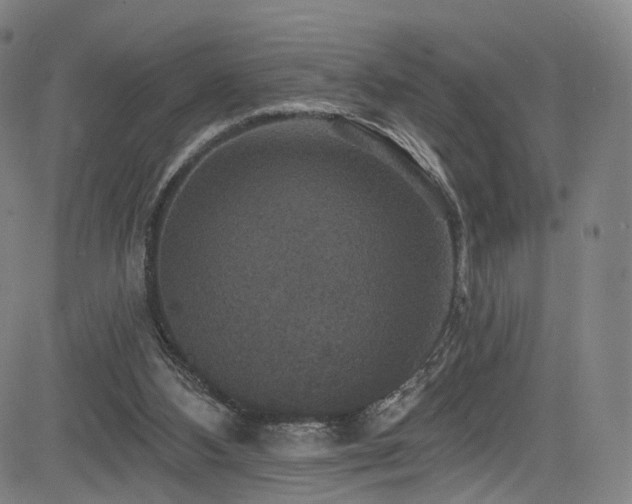 X0000085260108200703091334