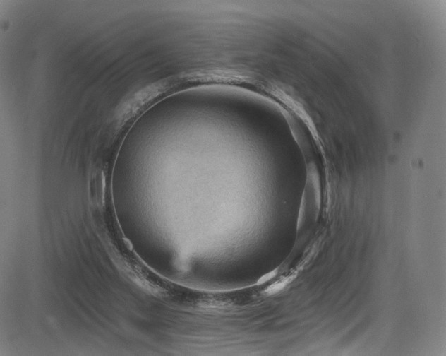 X0000085260109200703091334