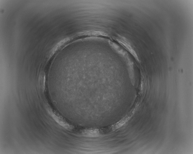 X0000085260110200703091334