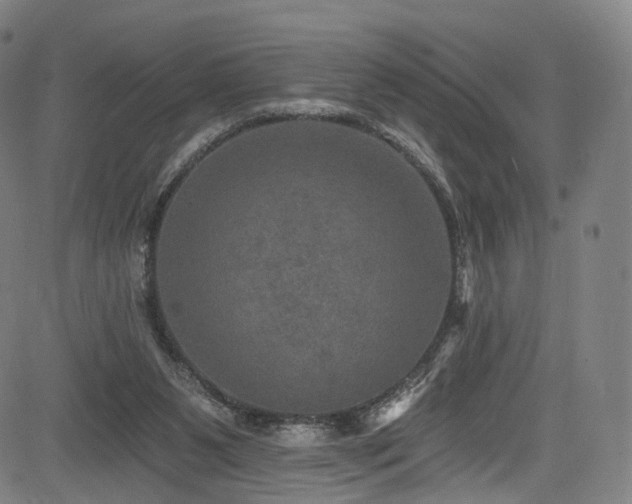 X0000085260111200703091334